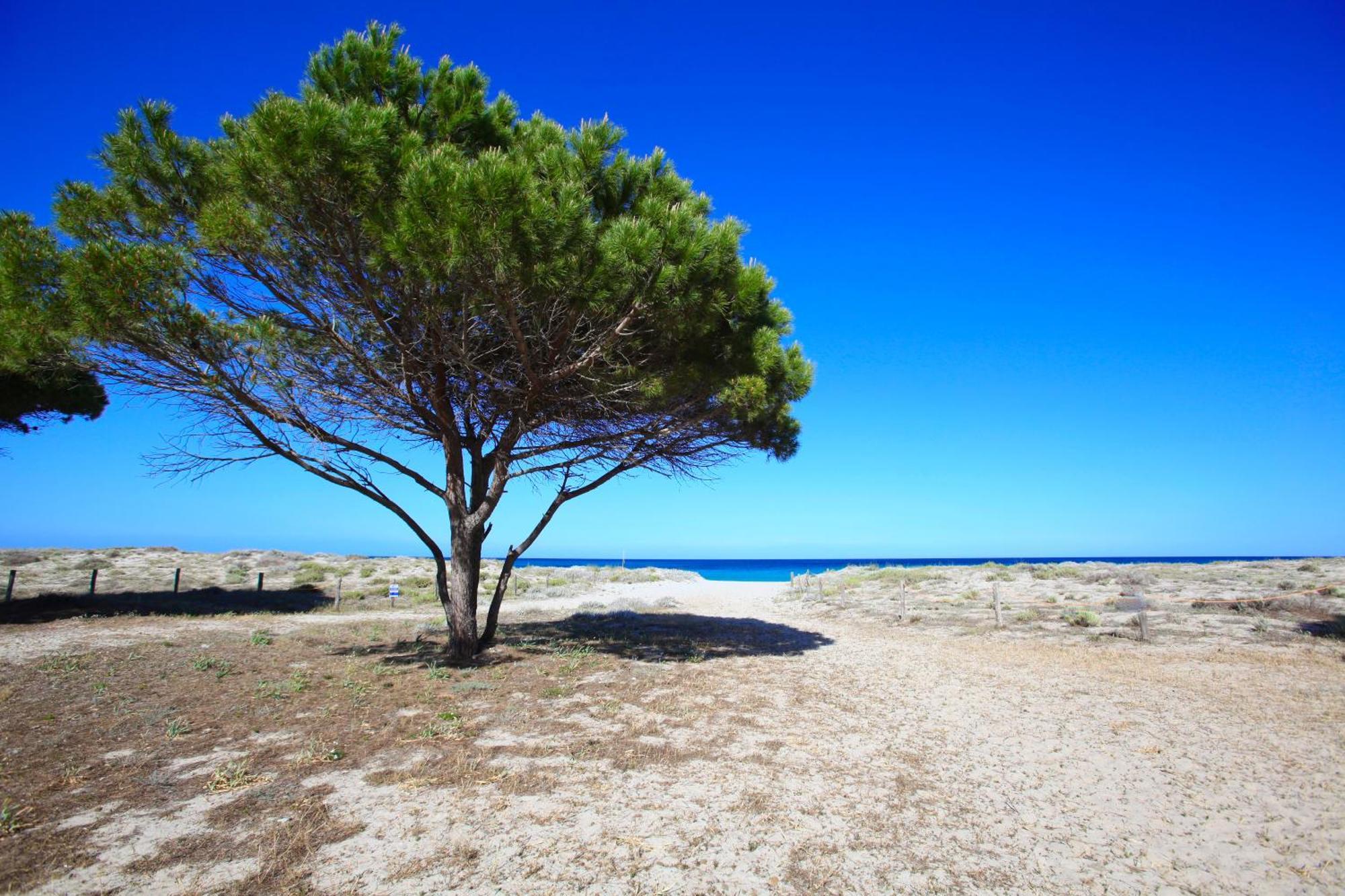 Resort Abbaia Ba Будони Екстериор снимка