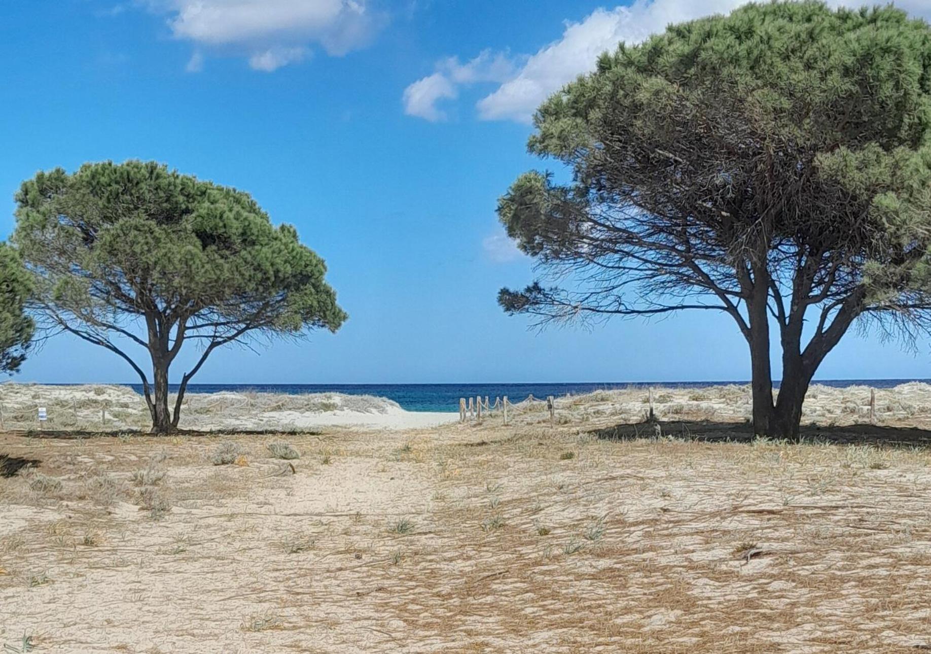 Resort Abbaia Ba Будони Екстериор снимка