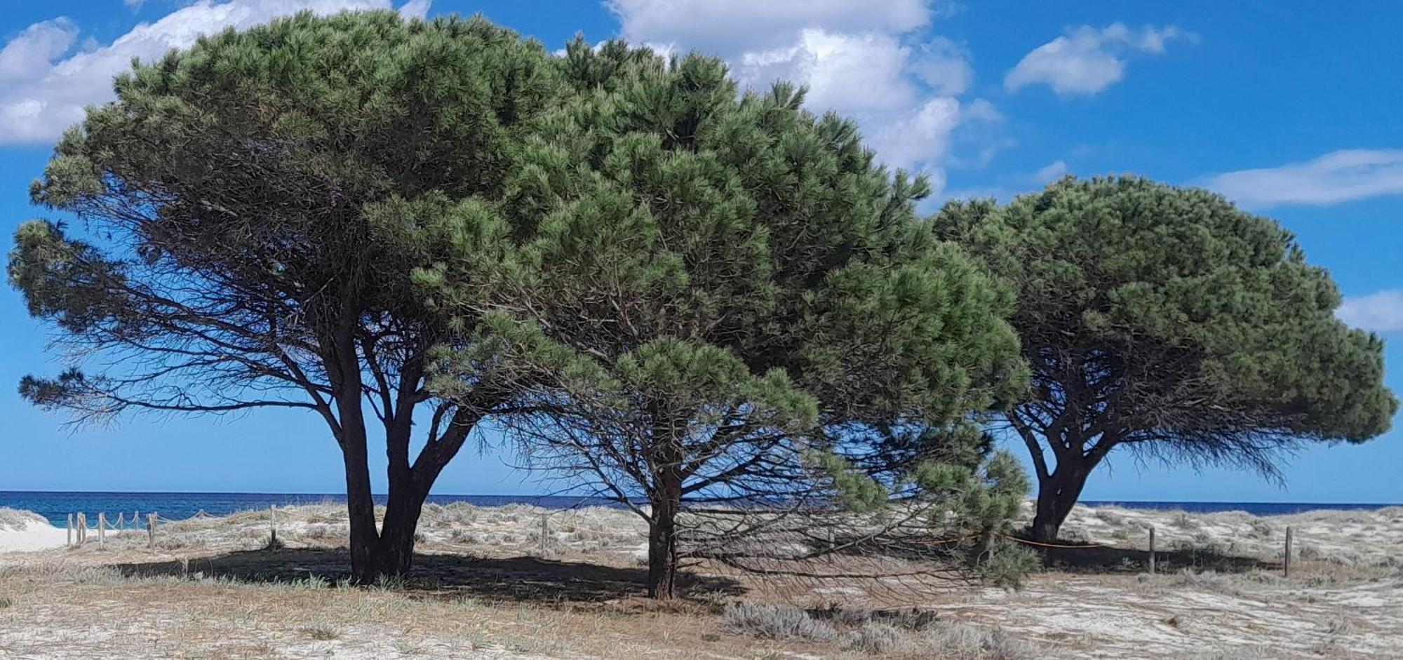 Resort Abbaia Ba Будони Екстериор снимка
